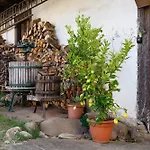 公寓 Alte Zainschmiede 穆尔海姆