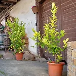 公寓 Alte Zainschmiede 穆尔海姆