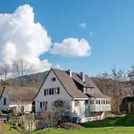 Alte Zainschmiede 公寓